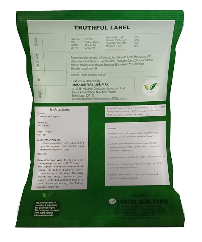 IAgriFarm® African Long Fodder Maize Seeds – 1 Kg - Image 2