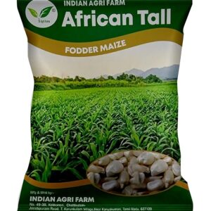 IAgriFarm® African Long Fodder Maize Seeds – 1 Kg
